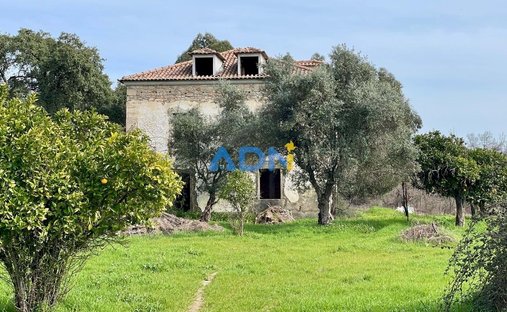 Azienda agricola a Medelim, Distretto di Castelo Branco, Portogallo 1