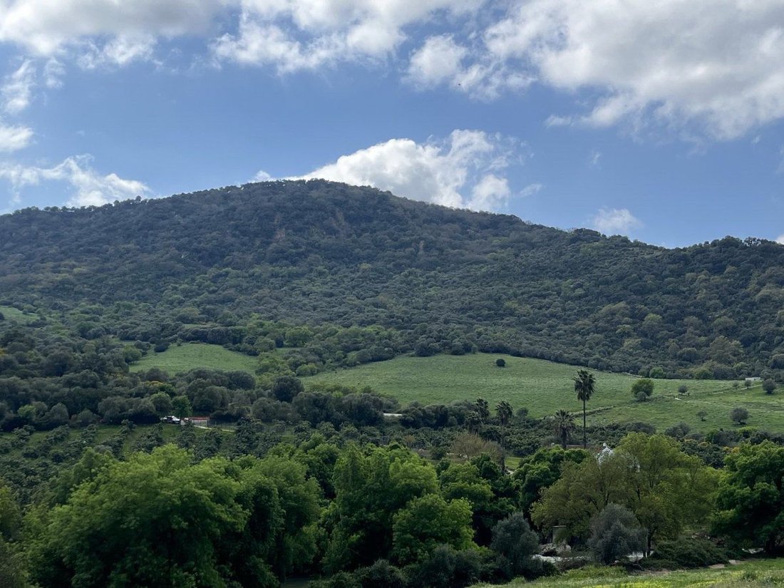 Land in Gaucin, Andalusia, Spain 3 - 17547521