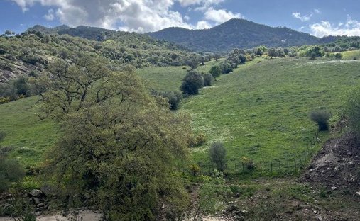 Terreno a Gaucín, Andalusia, Spagna 1