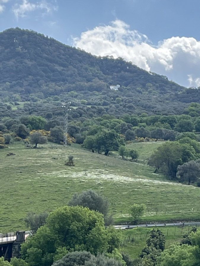 Land in Gaucin, Andalusia, Spain 5 - 17547521