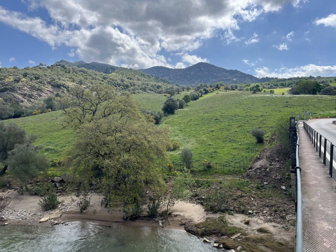 Land in Gaucin, Andalusia, Spain 4 - 17547521