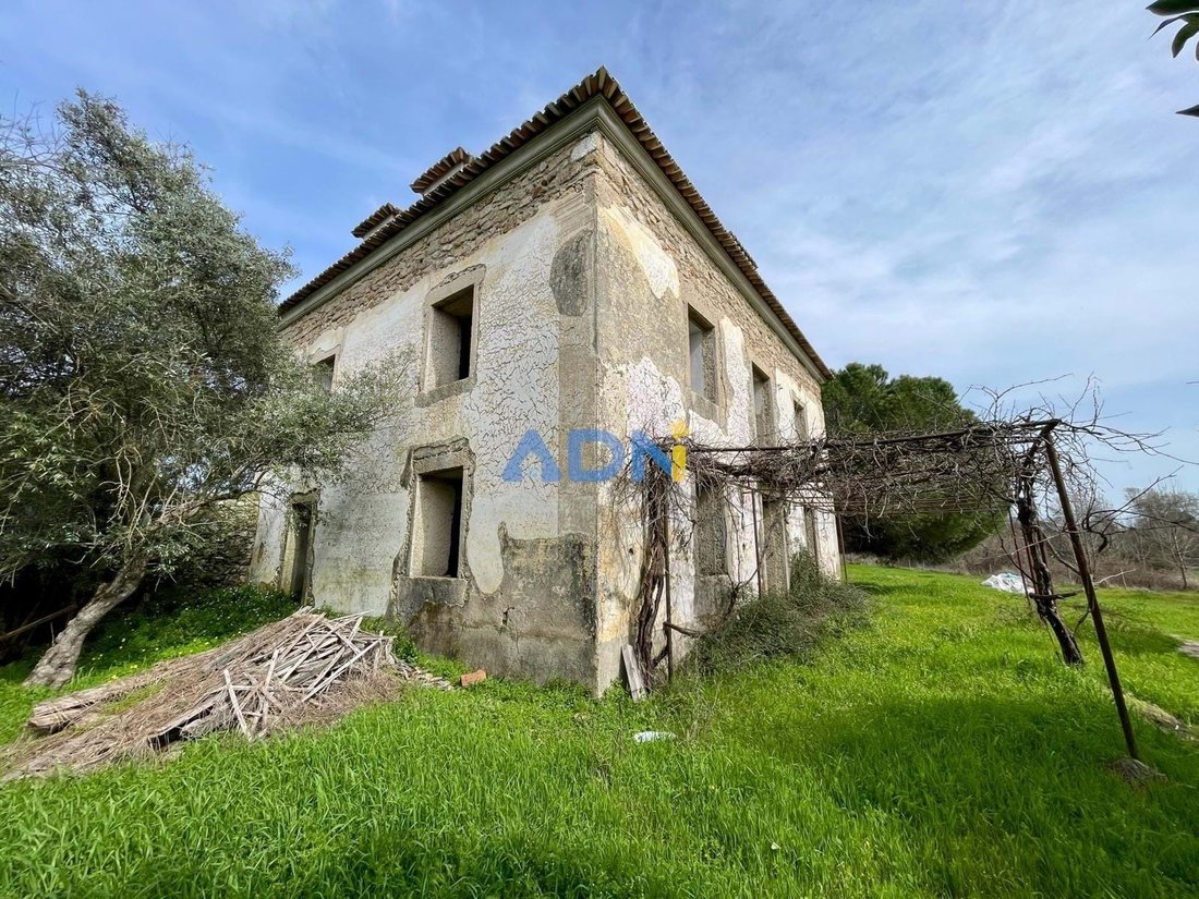 Farm Ranch in Medelim, Castelo Branco District, Portugal 4 - 17547760