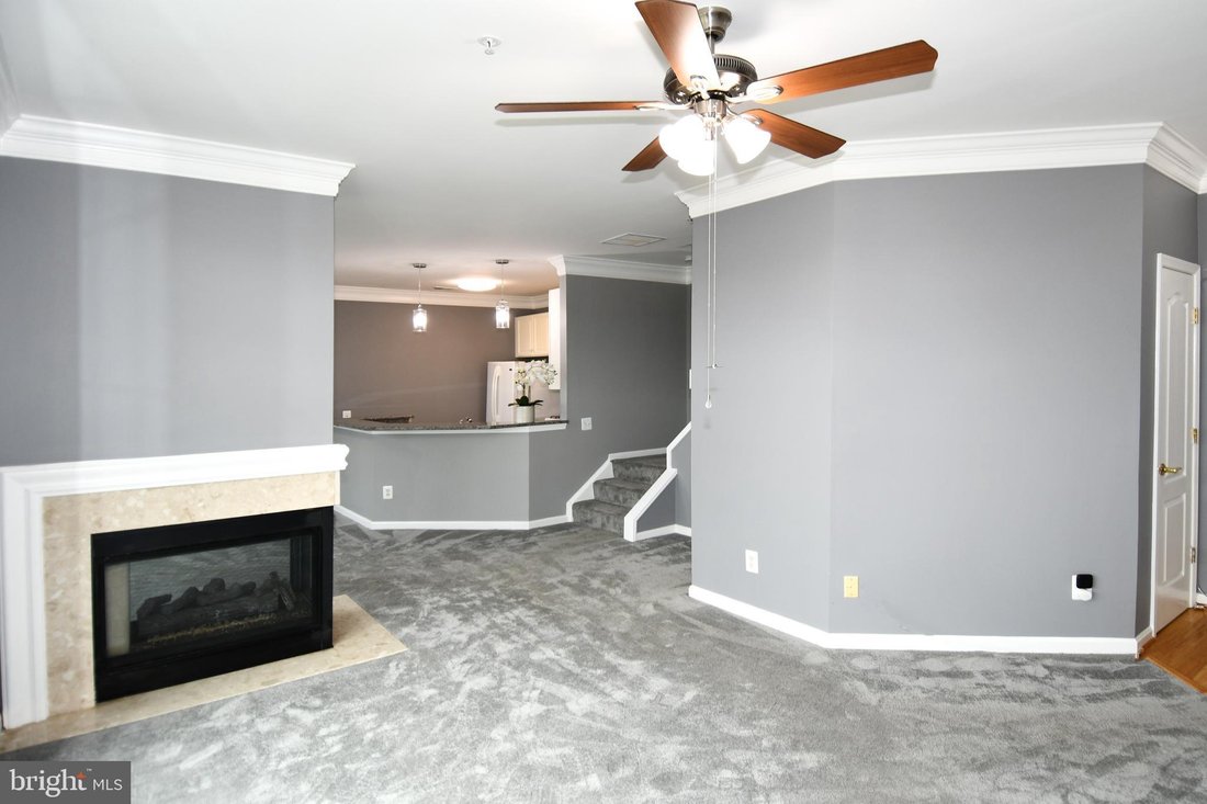 Condo in Alexandria, Virginia, United States 5 - 17547839