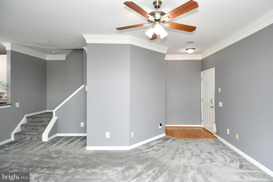 Condo in Alexandria, Virginia, United States 4 - 17547839