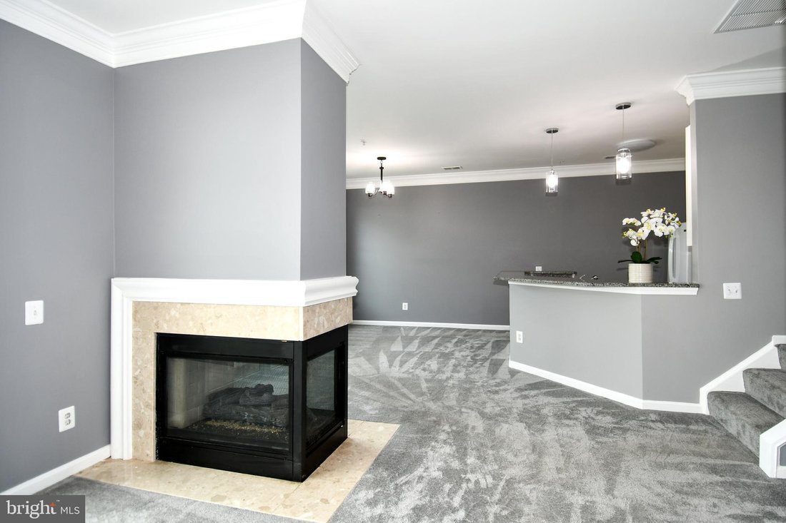 Condo in Alexandria, Virginia, United States 3 - 17547839