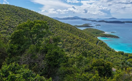 Land in Cruz Bay, Saint John, Amerikanische Jungferninseln 1