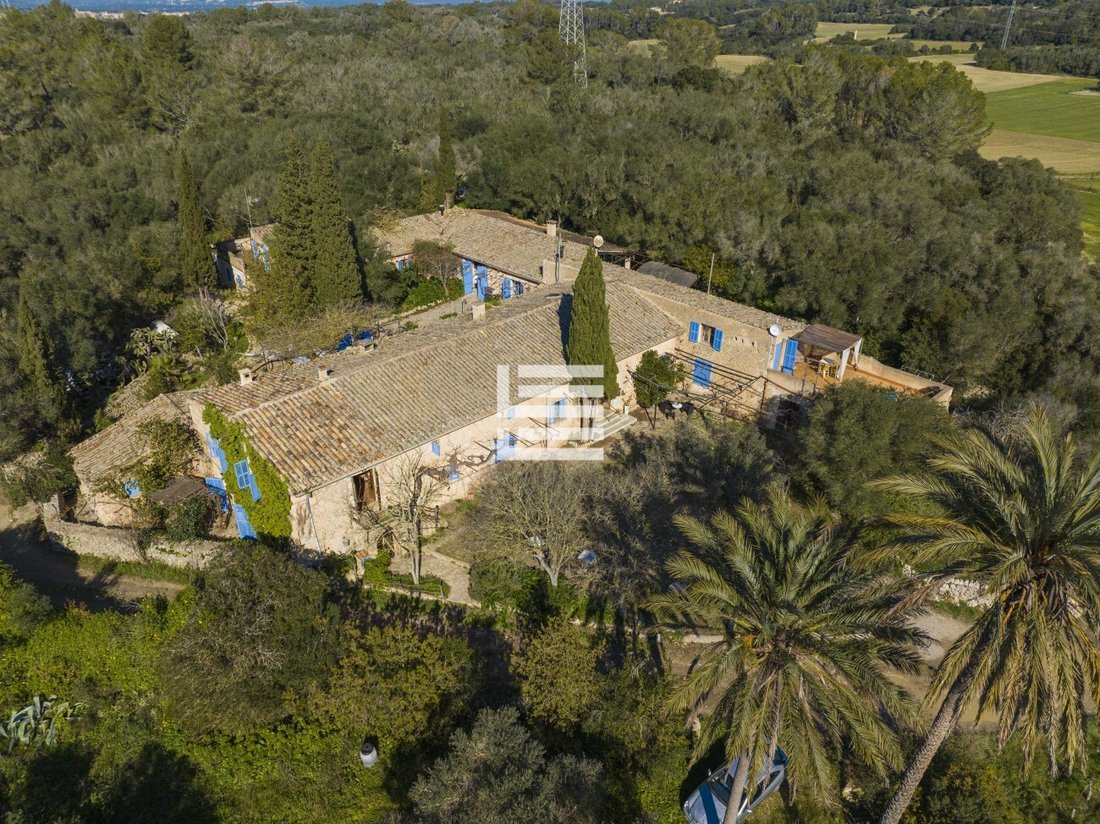 Finca in Llubi, Balearic Islands, Spain 3 - 17548371