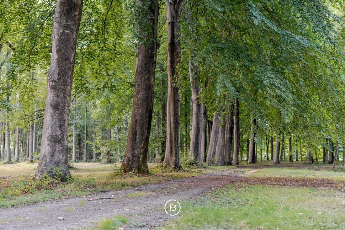 Estate in Tournai, Wallonia, Belgium 4 - 16770823