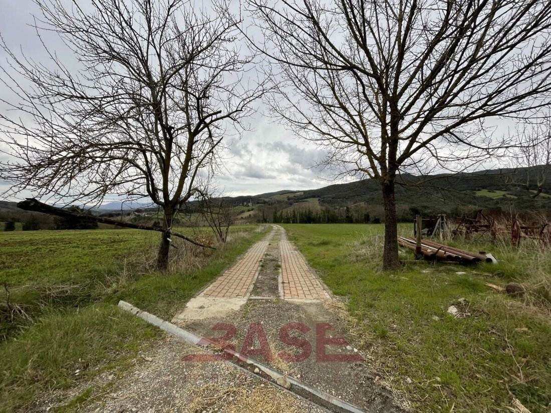 Maisons de campagne à Monteverdi Marittimo, Toscane, Italie 2 - 17548587