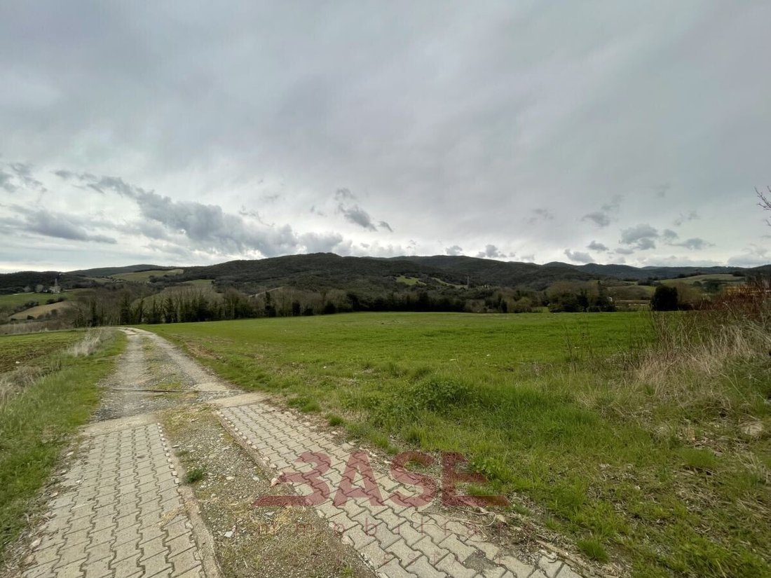 Maisons de campagne à Monteverdi Marittimo, Toscane, Italie 3 - 17548587