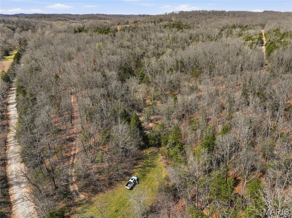 Farm Ranch in Squires, Missouri, United States 4 - 17551606