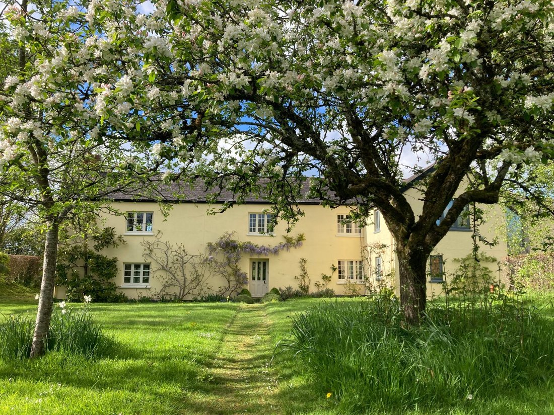 House in Payhembury, England 1 - 17549460
