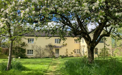House in Payhembury, England 1