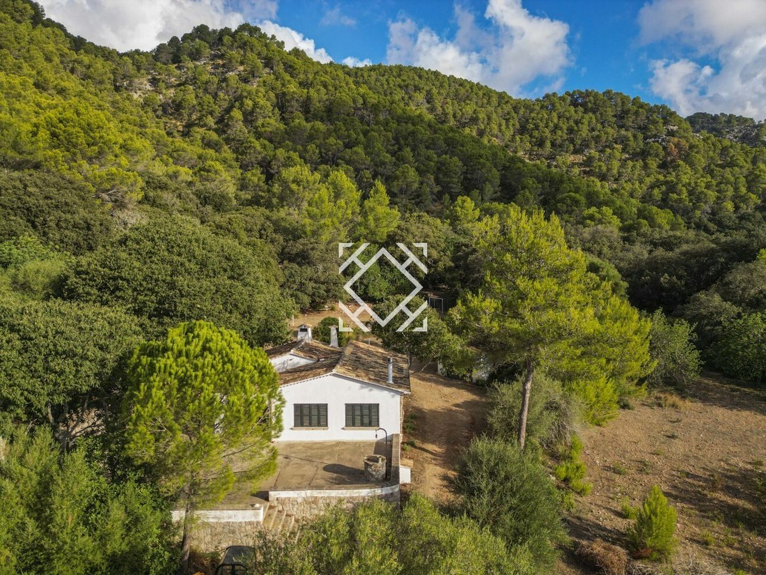 Finca in Pollenca, Balearic Islands, Spain 2 - 17548360