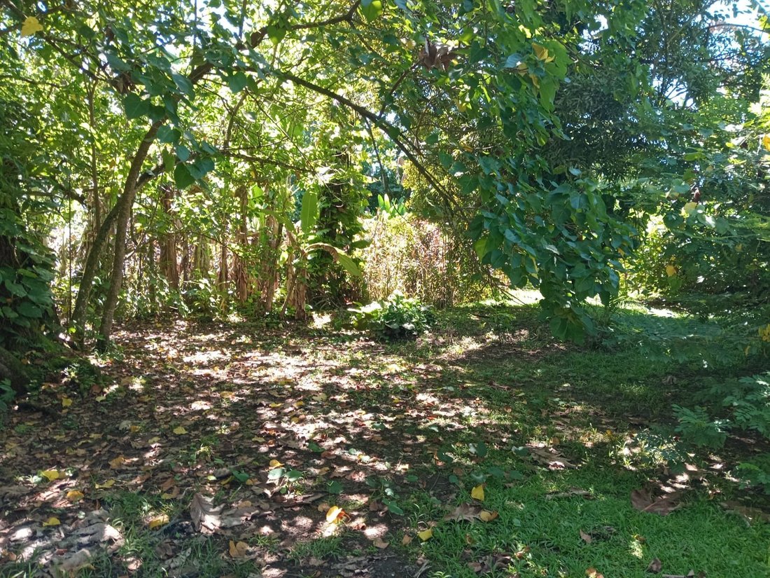 Land in Afaahiti, Windward Islands, French Polynesia 4 - 17554208