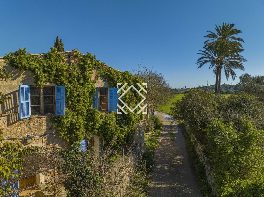 Landhaus in Llubí, Balearische Inseln, Spanien 2 - 17548670