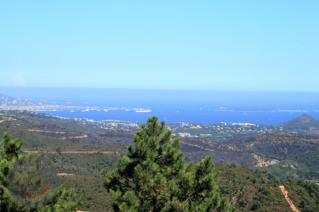 Estate in Les Adrets-de-l'Estérel, Provence-Alpes-Côte d'Azur, France 4 - 16480489