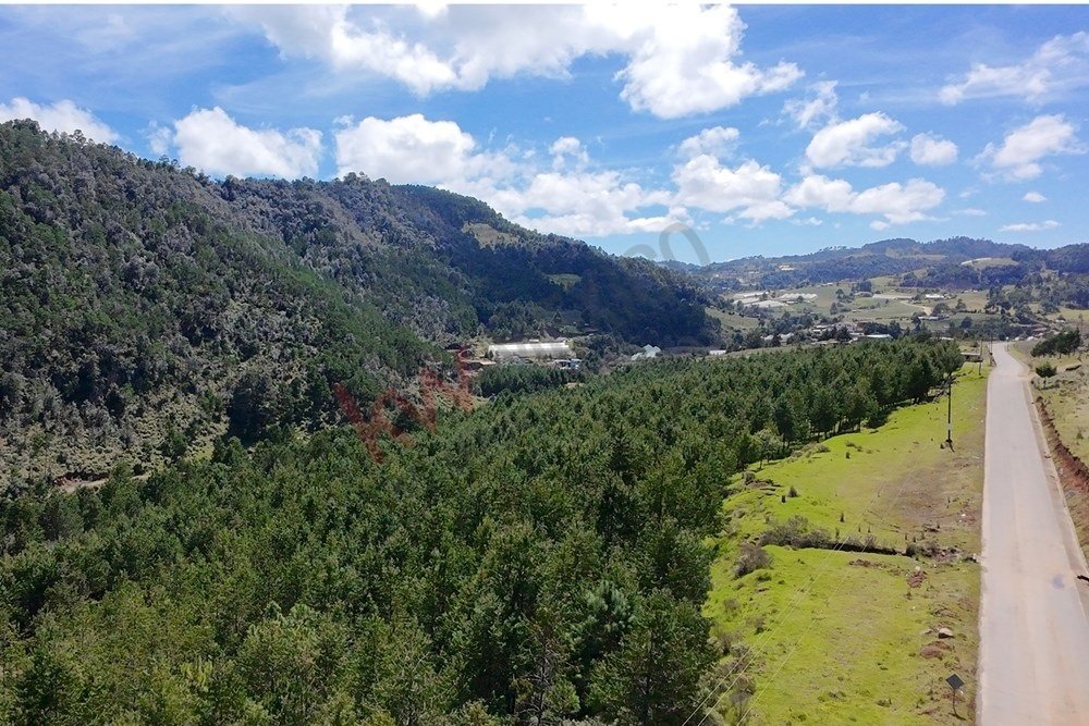 Land in Tlamimilolpa, Hidalgo, Mexico 2 - 17550751