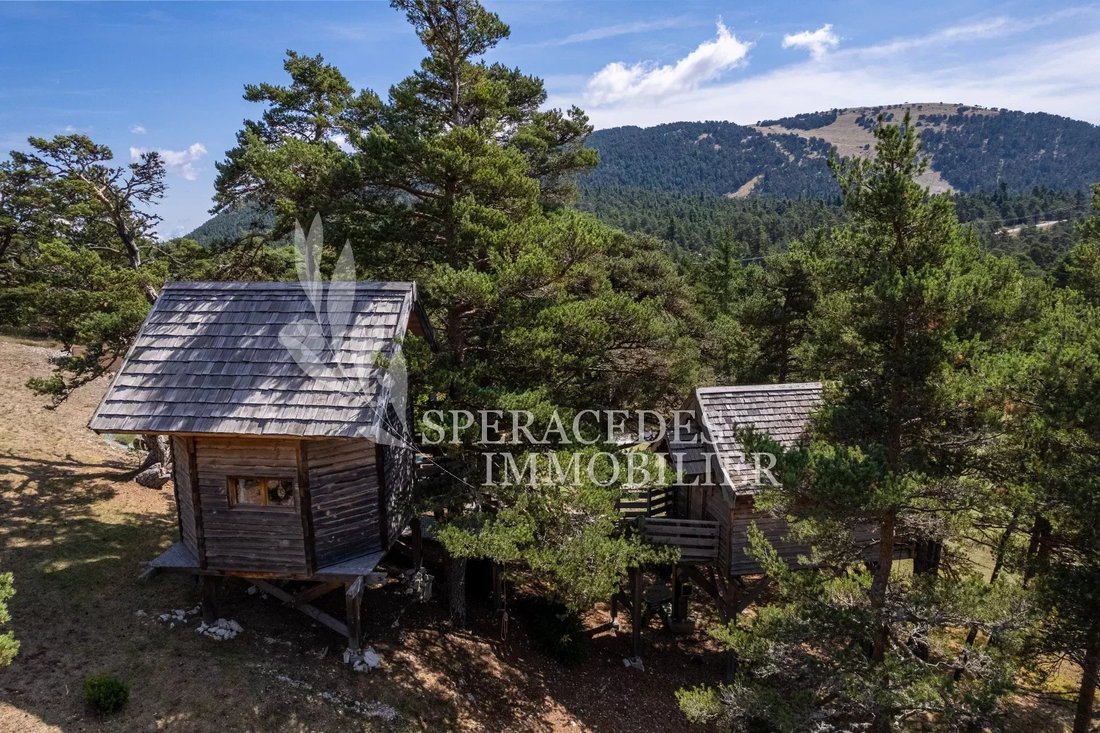 Chalet in Caille, Provence-Alpes-Côte d'Azur, France 1 - 14720619
