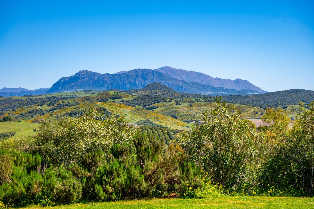 Country House in Jimena de la Frontera, Andalusia, Spain 3 - 17551860