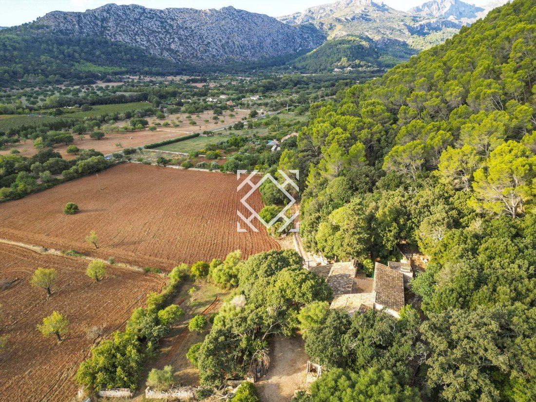 Finca in Pollenca, Balearic Islands, Spain 4 - 17548360