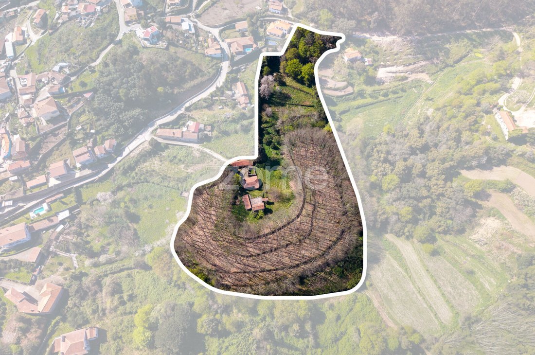 Finca in Cete, Porto District, Portugal 5 - 17553647