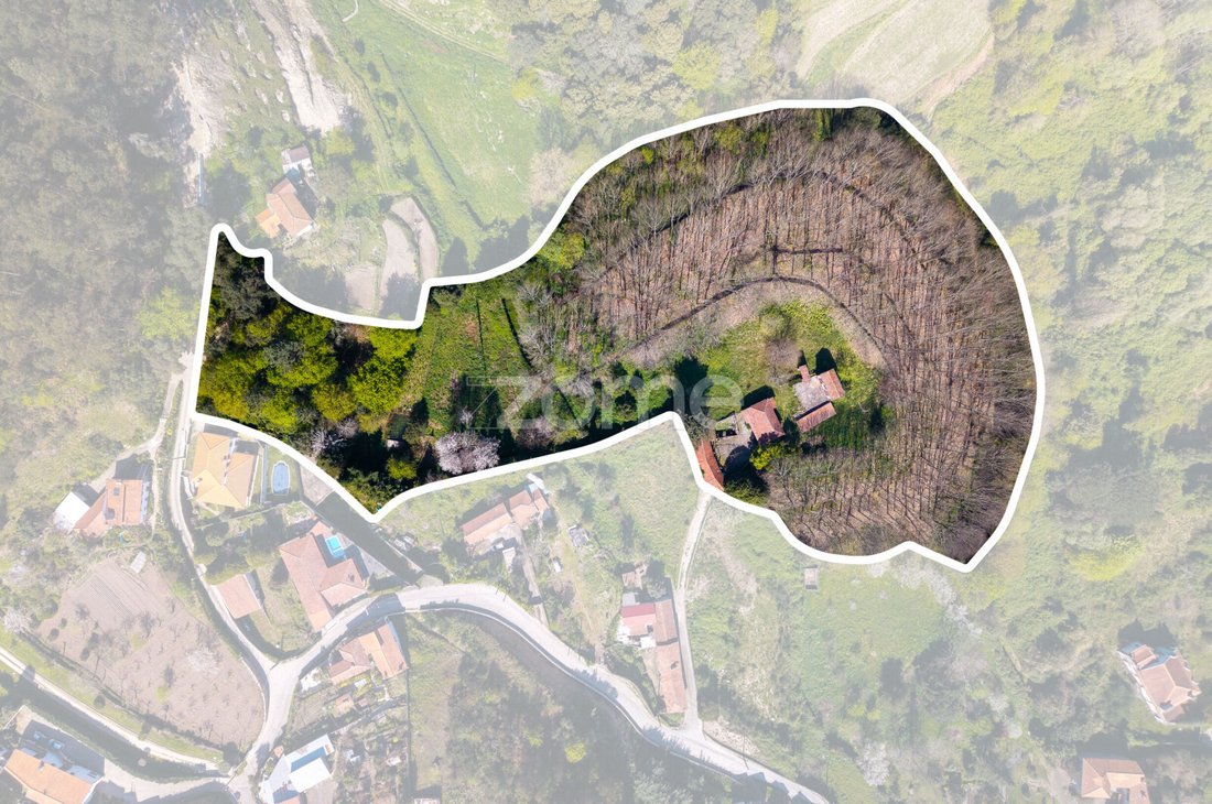 Finca in Cete, Porto District, Portugal 3 - 17553647