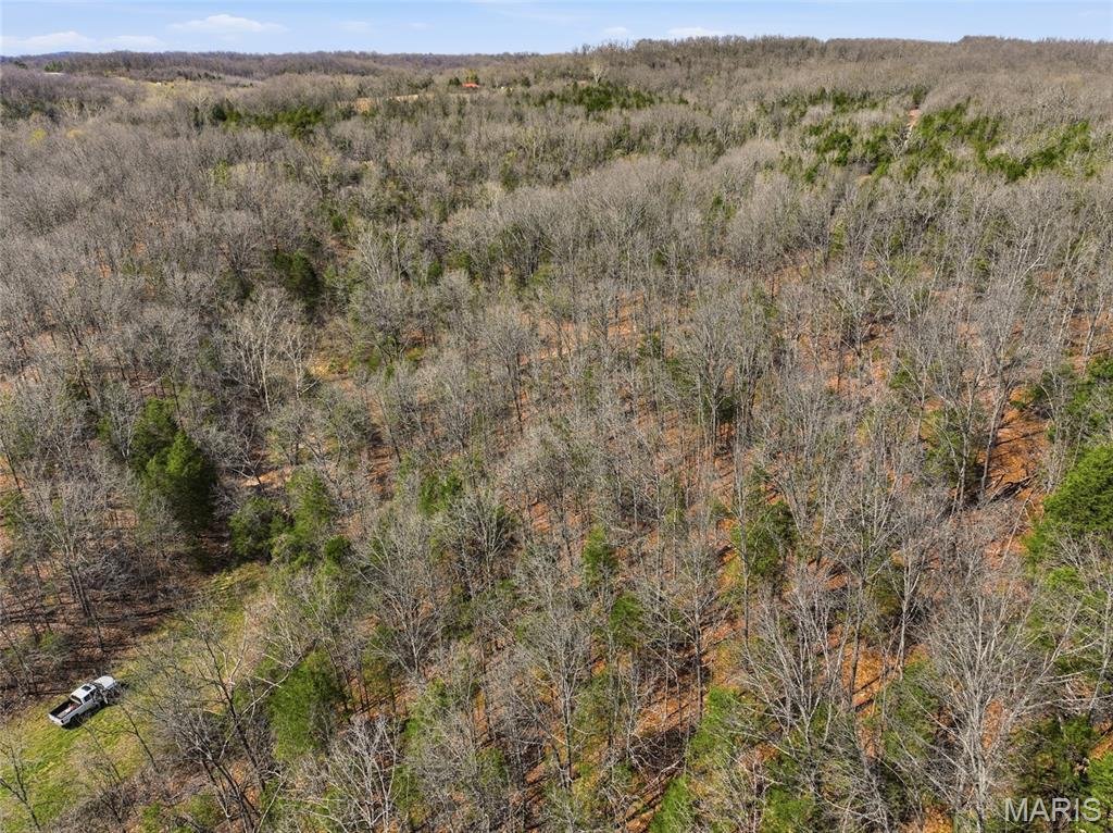 Farm Ranch in Squires, Missouri, United States 5 - 17551606