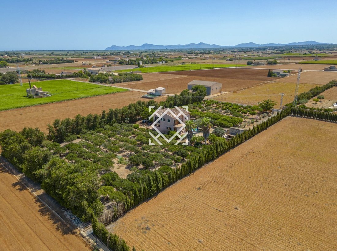 Villa in sa Pobla, Balearic Islands, Spain 5 - 17548775