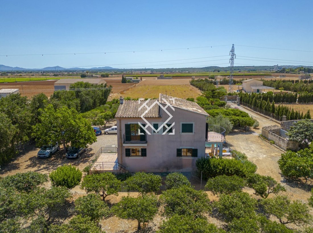 Villa in sa Pobla, Balearic Islands, Spain 2 - 17548775