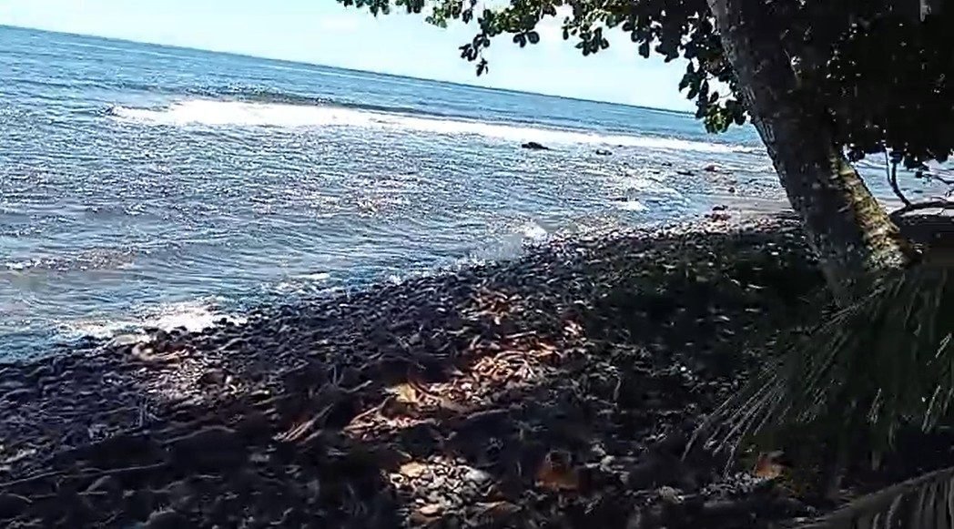 Land in Afaahiti, Windward Islands, French Polynesia 5 - 17554208