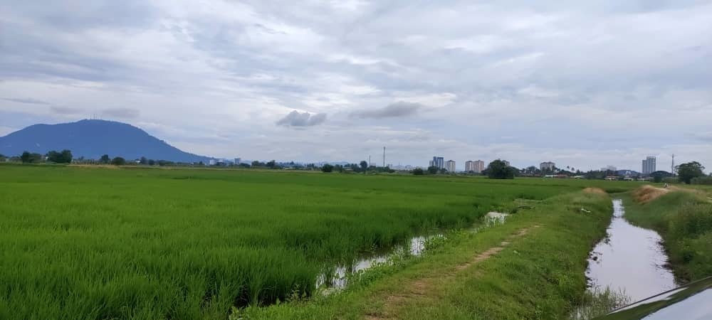Appartement à Butterworth, Penang, Malaisie 3 - 17550887