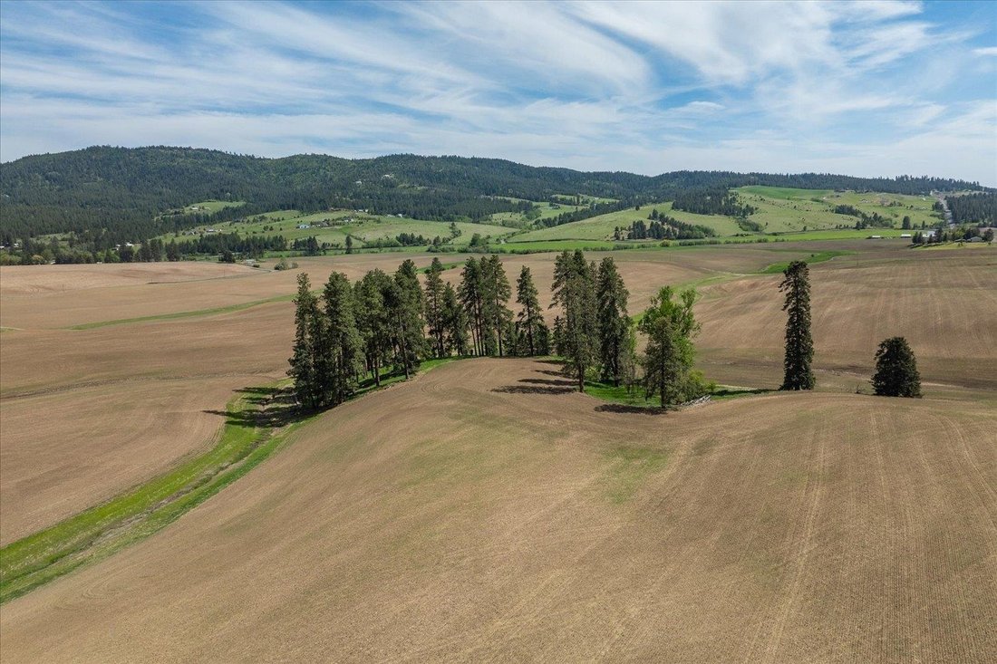 Land in Rockford, Washington, United States 5 - 17554102