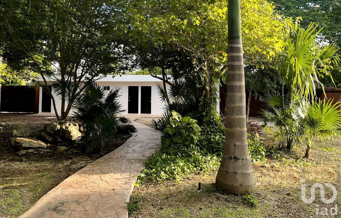 Land in Cholul, Yucatan, Mexico 2 - 17549758