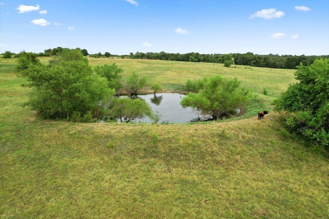 Land in Van Alstyne, Texas, United States 1 - 17550689