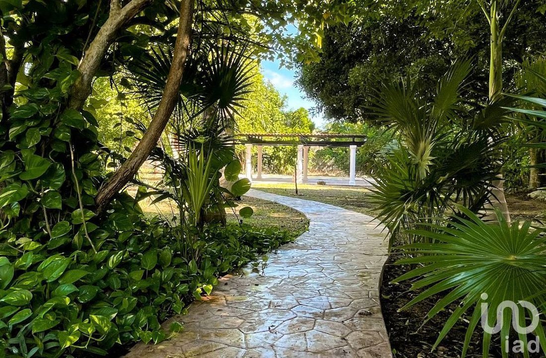 Land in Cholul, Yucatan, Mexico 3 - 17549758