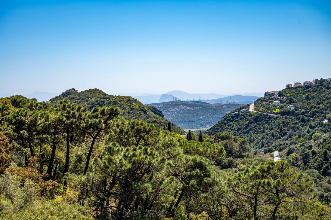 Finca in Casares, Andalusia, Spain 4 - 17551834
