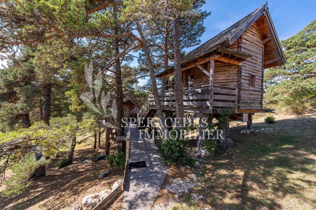 Chalet in Caille, Provence-Alpes-Côte d'Azur, France 2 - 14720619