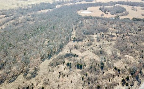 Land in McAlester, Oklahoma, United States 1
