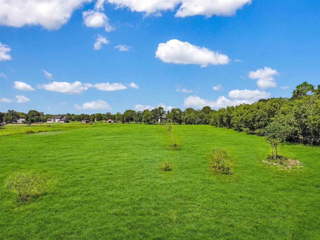 House in Friendswood, Texas, United States 5 - 17552189