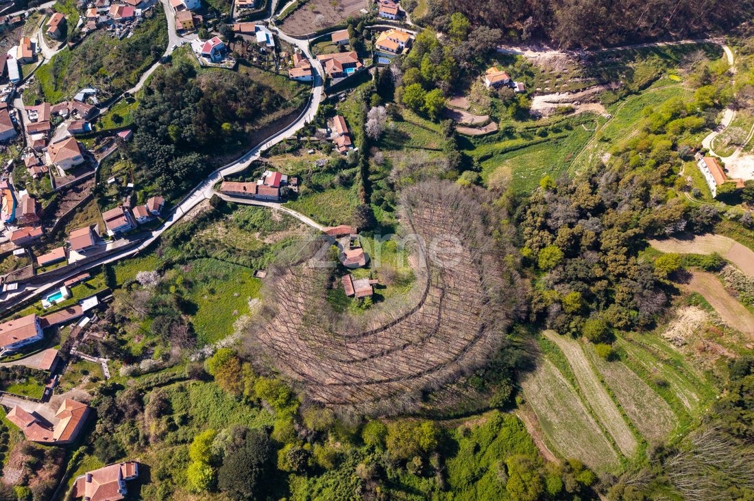 Finca in Cete, Porto District, Portugal 4 - 17553647