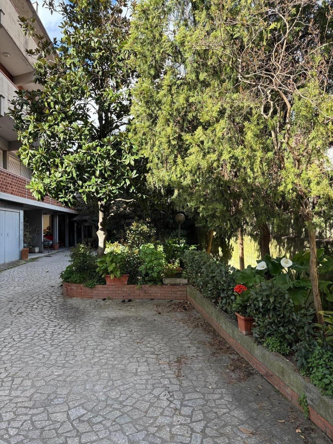 Center, Marina di Carrara, Tuscany 2 - 17552175