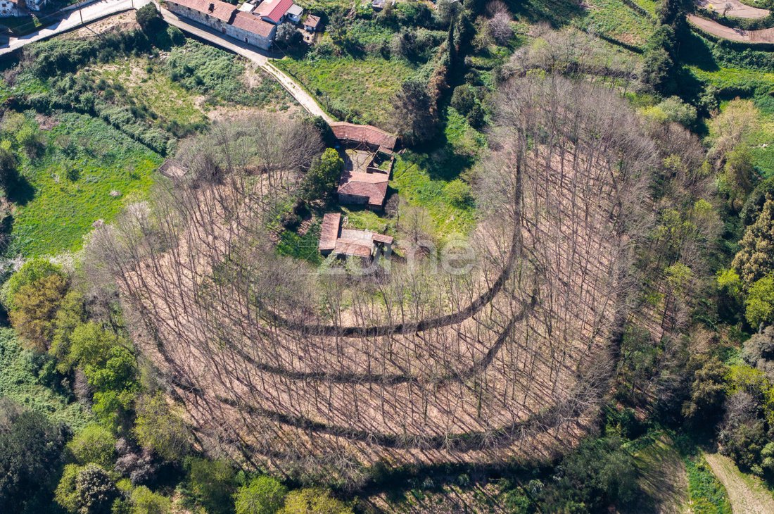 Finca in Cete, Porto District, Portugal 1 - 17553647