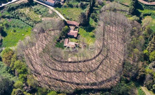 Finca a Cete, Oporto, Portogallo 1