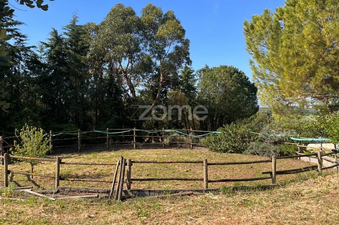 Finca in Sao Vicente do Paul e Vale de Figueira, Santarem District, Portugal 1 - 16984594