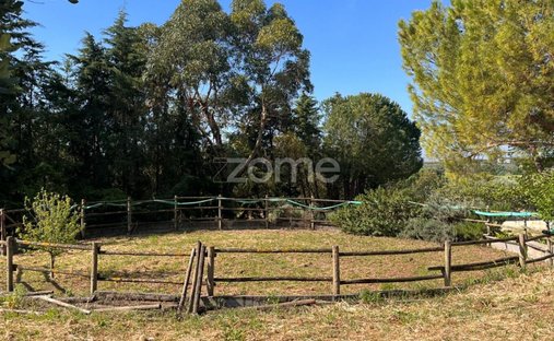 Finca a Sao Vicente do Paul e Vale de Figueira, Distretto di Santarém, Portogallo 1