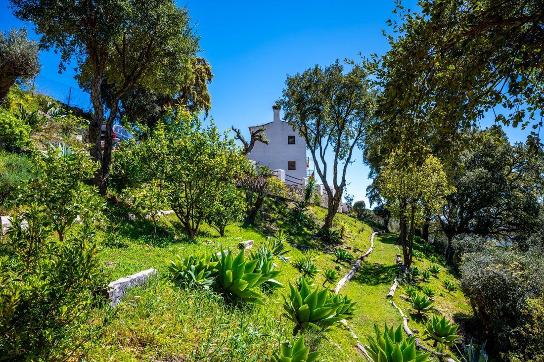 Finca in Casares, Andalusia, Spain 3 - 17551834