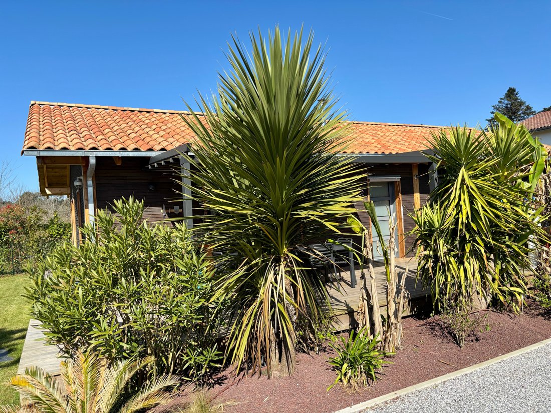House in Seignosse, Nouvelle-Aquitaine, France 3 - 17552887