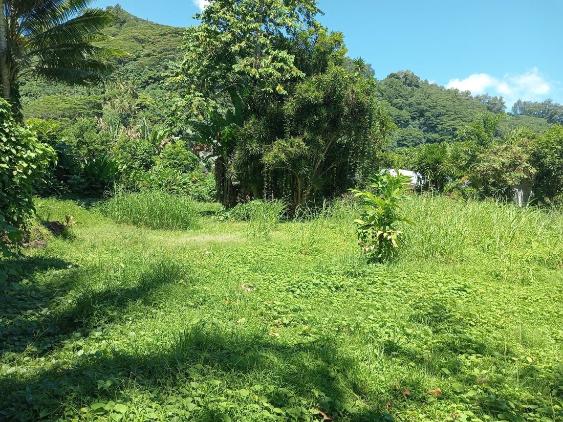 Land in Afaahiti, Windward Islands, French Polynesia 2 - 17554208