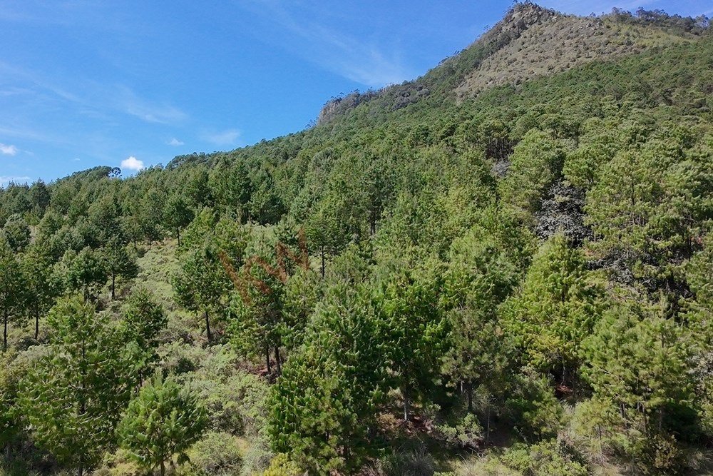 Land in Tlamimilolpa, Hidalgo, Mexico 3 - 17550751